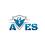 avessecurity